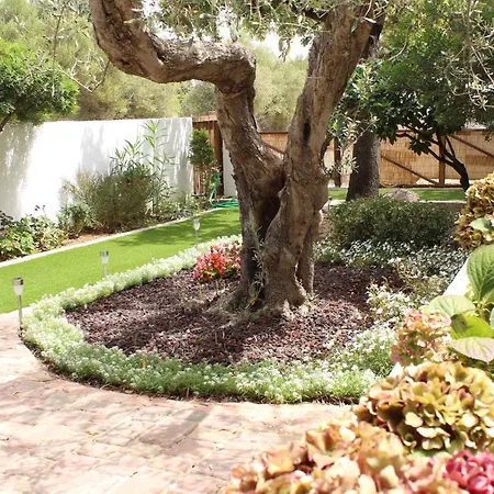 Giobo 西尼斯科拉