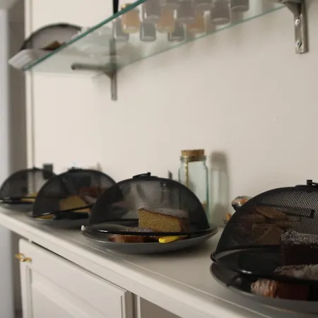 Giobo 西尼斯科拉