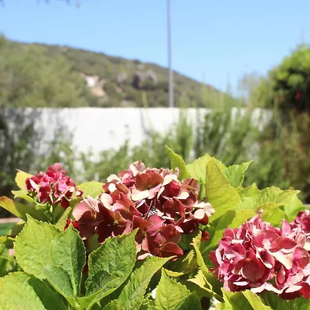 Giobo Bed & Breakfast