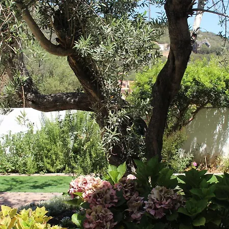 Giobo Bed & Breakfast 3*