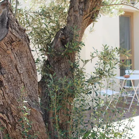 Bed and breakfast Giobo 3*